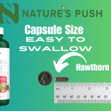 Hawthorn Berries 10:1 Extract 6,750mg Herbal Equivalent