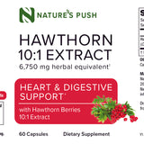 Hawthorn Berries 10:1 Extract 6,750mg Herbal Equivalent