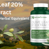 Olive Leaf 8:1 Extract 20% Oleuropein 6,000mg