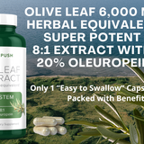Olive Leaf 8:1 Extract 20% Oleuropein 6,000mg